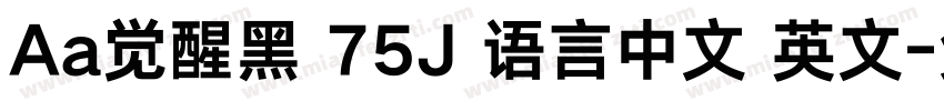 Aa觉醒黑 75J 语言中文 英文字体转换